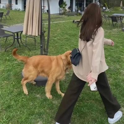 温暖渐冻心