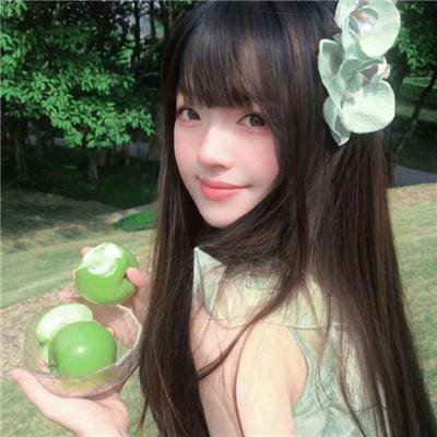长安的荔枝